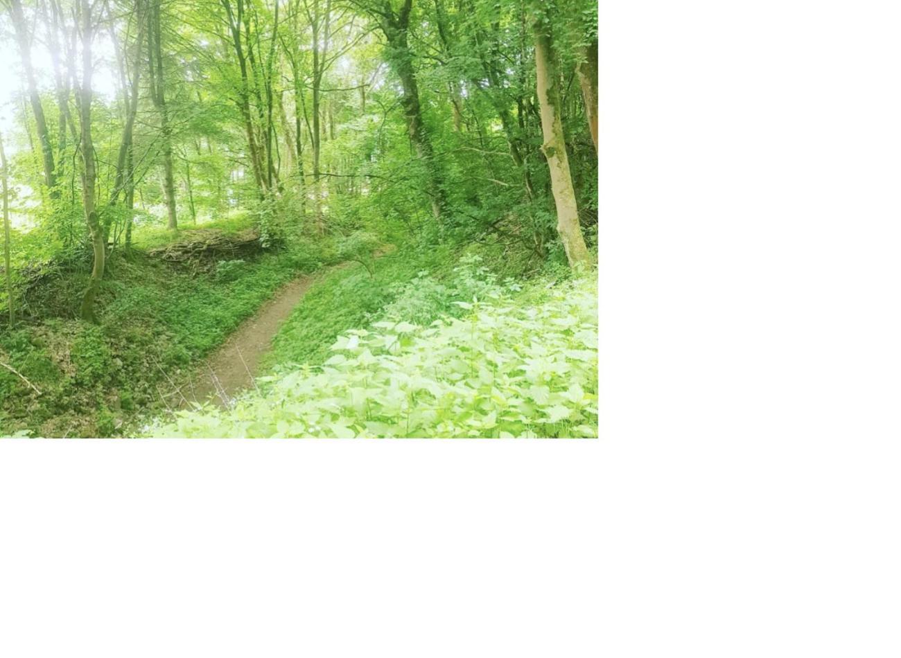 Aussergewoehnliche Auszeit - Metime1 Felsberg المظهر الخارجي الصورة